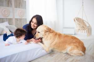First-Time Dog Owners: How to Choose the Best Breed for Your Needs First-Time Dog Owners: How to Choose the Best Breed for Your Needs
